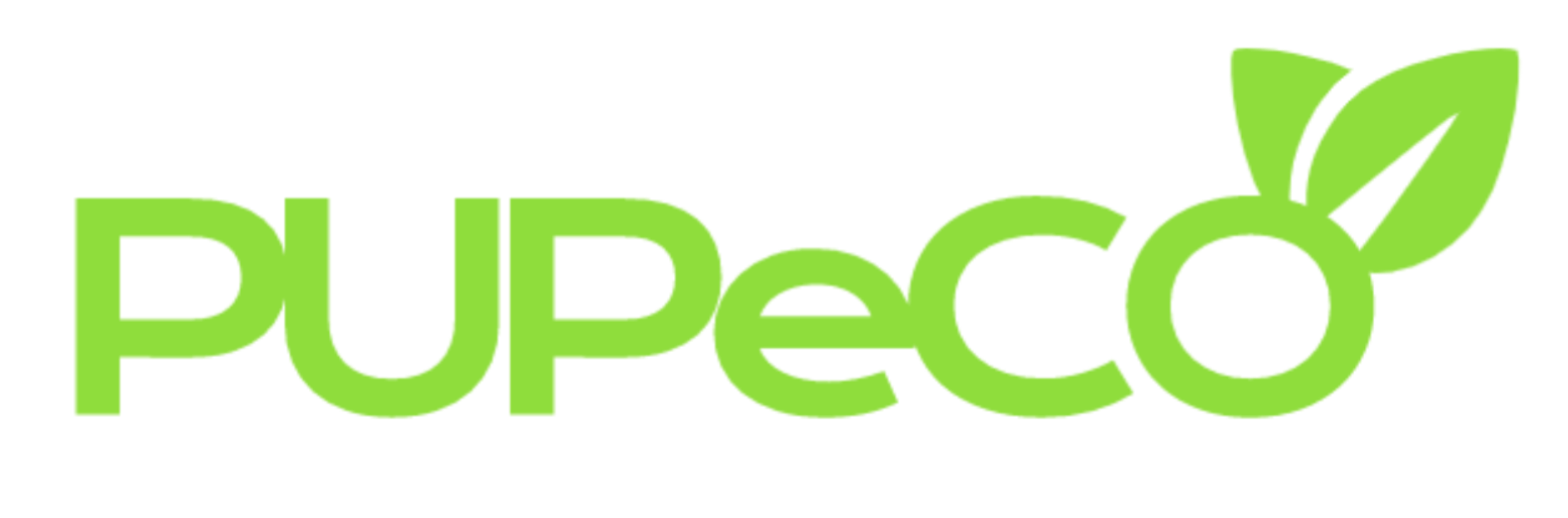 PUPeCO IT Services
